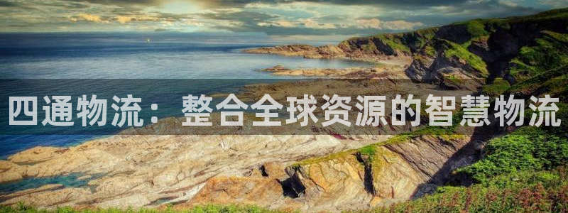 28圈麻将：四通物流：整合全球资源的