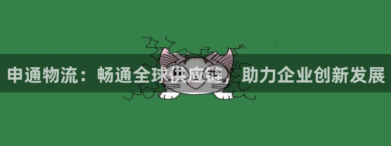 28圈的自行车：申通物流：畅通全球供