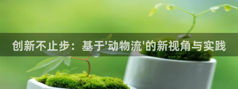 28圈登录网：创新不止步：基于\'动