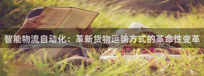 28圈注册上限是啥意思：智能物流自动