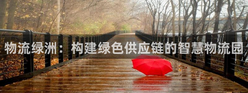 加拿大28圈数字规则：物流绿洲：构建
