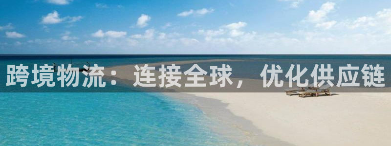 28圈加拿大技巧：跨境物流：连接全球