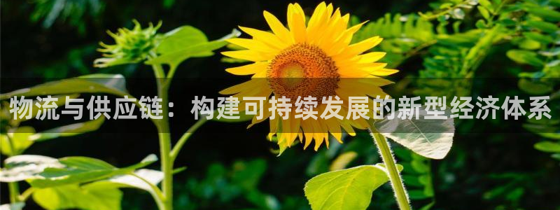 28圈注册链接教程：物流与供应链：构