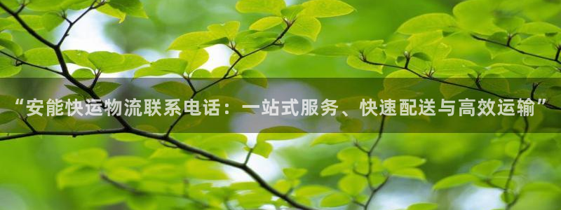 28圈官网链接：“安能快运物流联系电