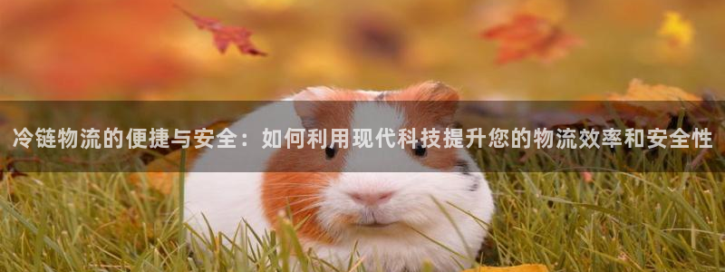 28圈加拿大怎么玩：冷链物流的便捷与