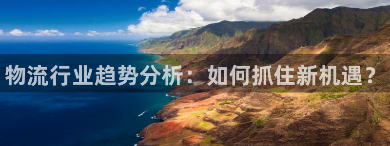 28圈麻将：物流行业趋势分析：如何抓