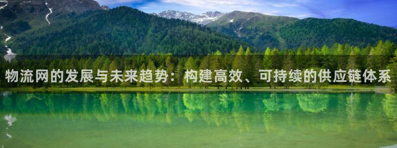 28圈app官网少林足球：物流网的发展与未来趋势：构建高效、
