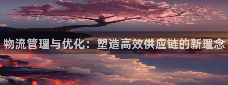 28圈p扣除：物流管理与优化：塑造高效供应链的新理念