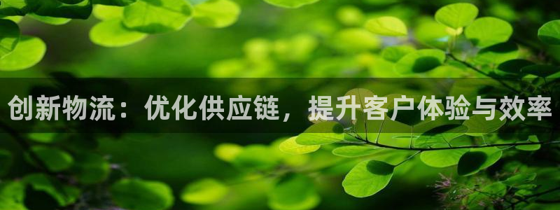 28圈注册网站链接怎么弄：创新物流：