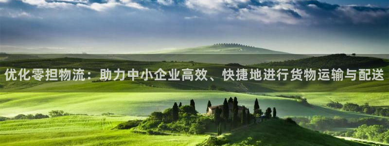 28圈为什么打不开：优化零担物流：助
