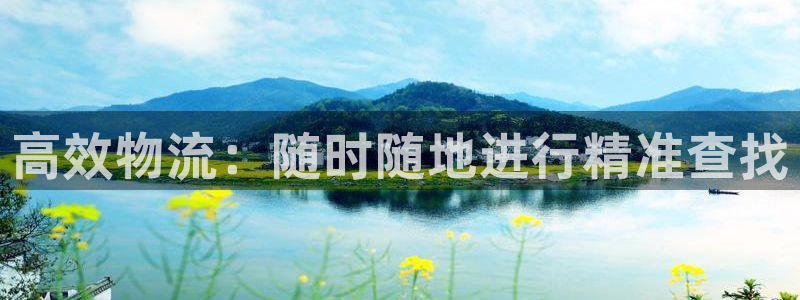 28圈是正规平台吗：高效物流：随时随