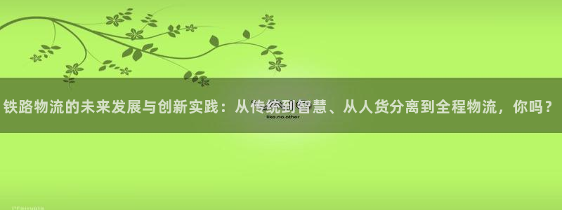 28圈pg如何退钱：铁路物流的未来发