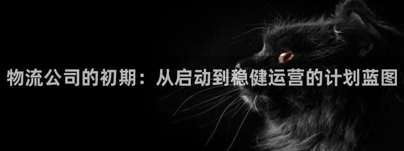 28圈游戏最新版：物流公司的初期：从