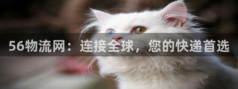 28圈客服电话：56物流网：连接全球