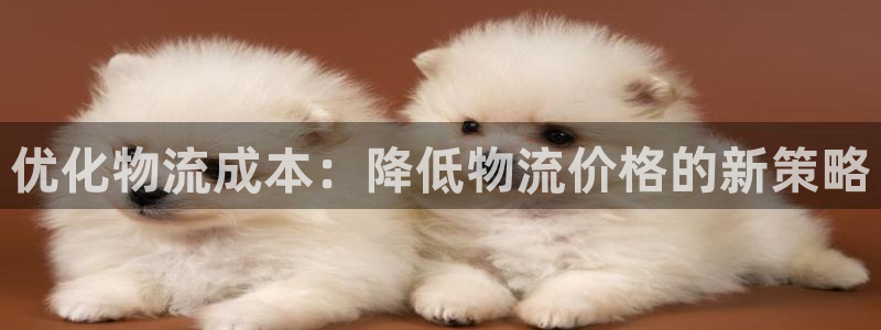 28圈注册步骤：优化物流成本：降低物