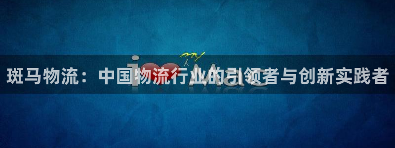 28圈开奖预测：斑马物流：中国物流行