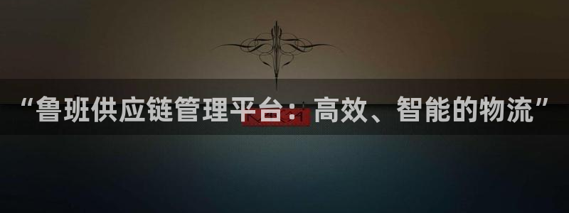 28圈加拿大官网：“鲁班供应链管理平