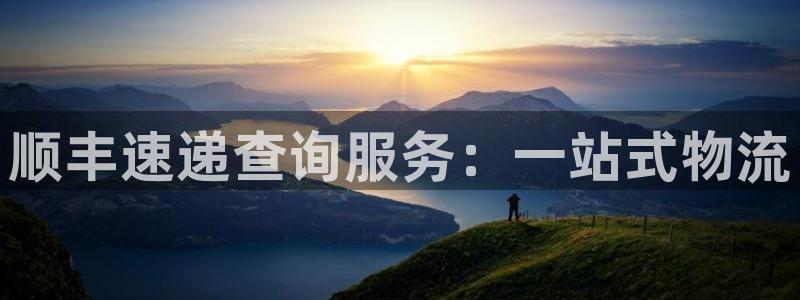 28圈注册上限是啥意思：顺丰速递查询