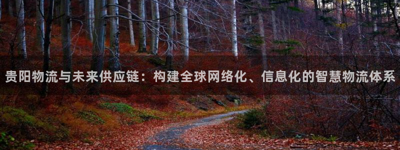 28圈电子：贵阳物流与未来供应链：构