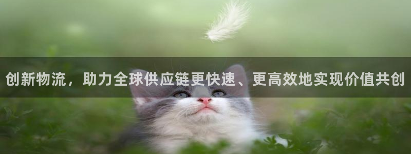 28圈网赌有什么风险：创新物流，助力