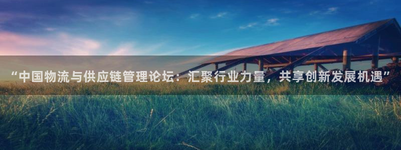 28圈反水什么时候到：“中国物流与供